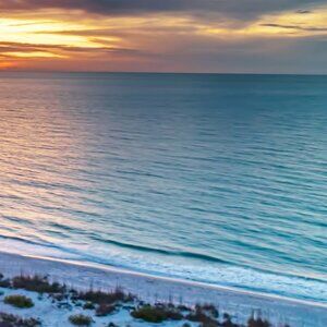 FLYER!!  AMYS FLORIDA TREASURE